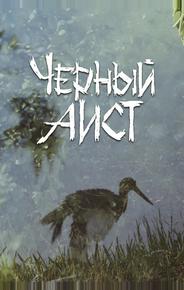 Черный аист