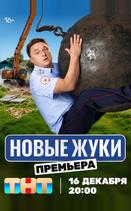 Жуки