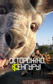 Осторожно, Кенгуру!
