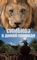 Симбиоз в дикой природе